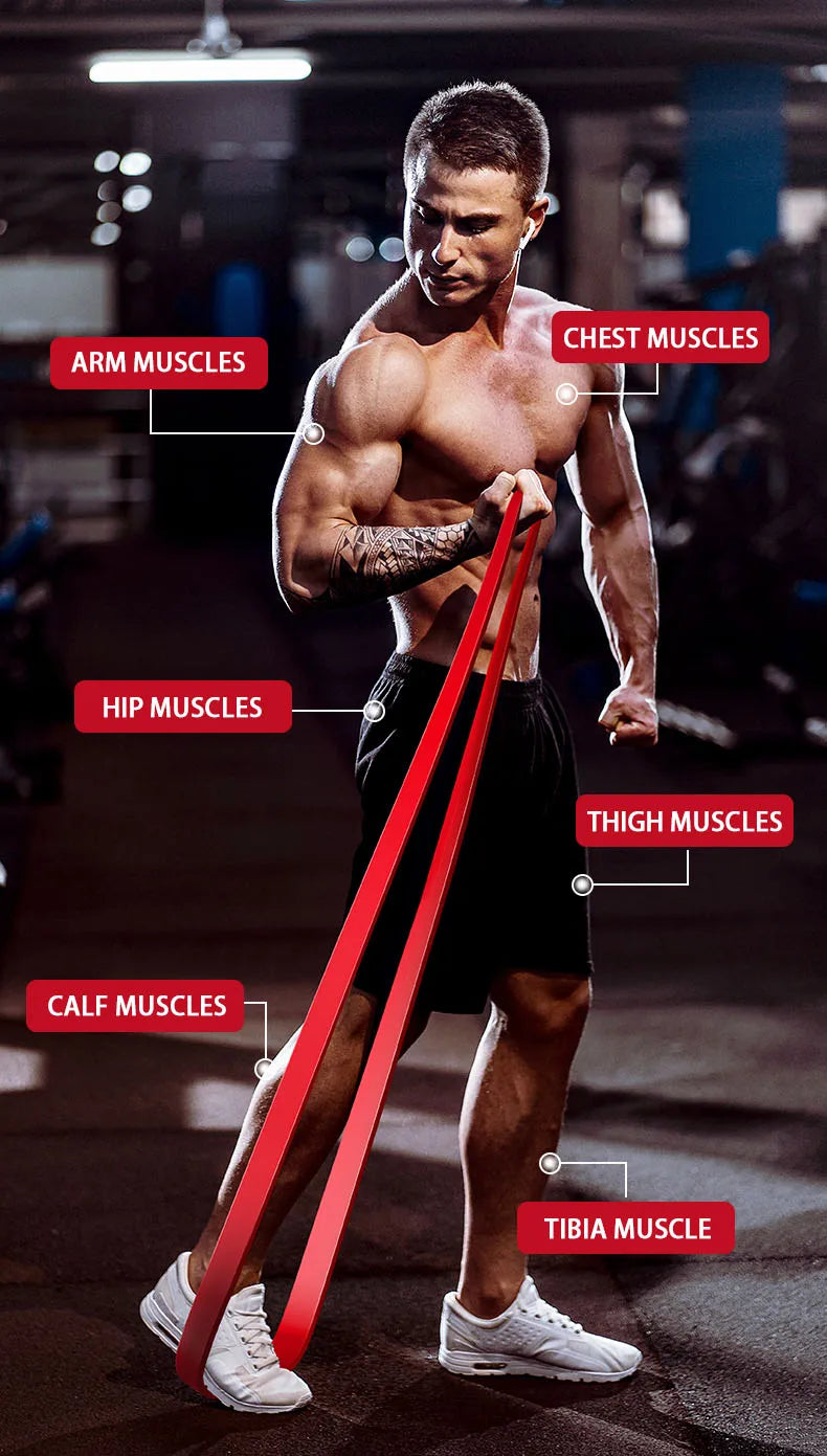 Resistance Band Set – Pull-Up Assistance & Stretch Bands for Home Workouts